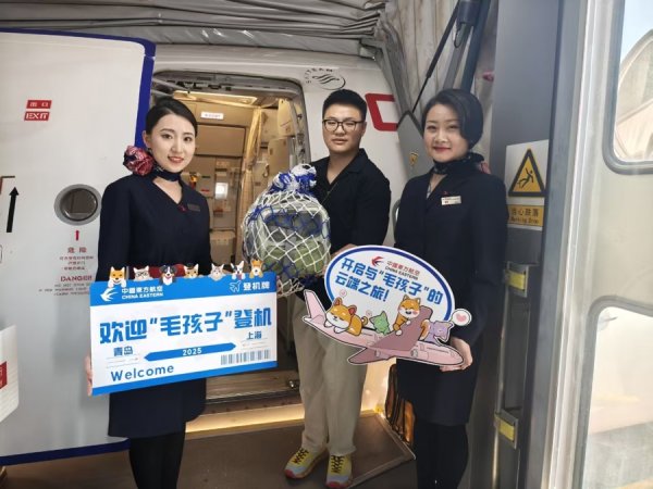 富才配资 “毛孩子”全程相伴！这些航空公司上线宠物进客舱服务