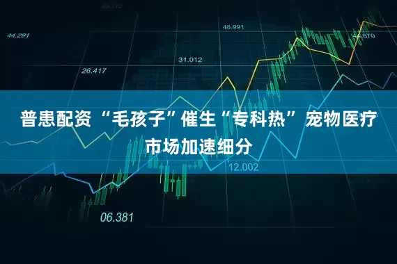 普患配资 “毛孩子”催生“专科热” 宠物医疗市场加速细分