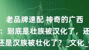 老品牌速配 神奇的广西壮族自治区：到底是壮族被汉化了，还是汉族被壮化了？_文化_侬智高_地区