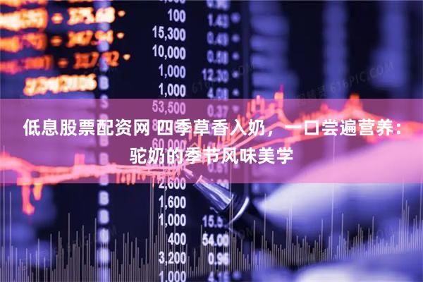 低息股票配资网 四季草香入奶，一口尝遍营养：驼奶的季节风味美学